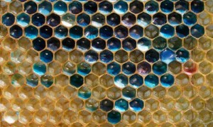 miniature相关阅读