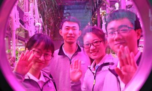 simulated相关阅读