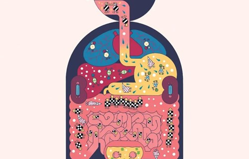 人体内的微生物是影响健康的关键吗? 人体内的微生物是影响健康的关键吗?