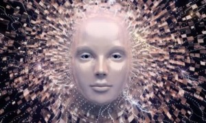humans相关阅读