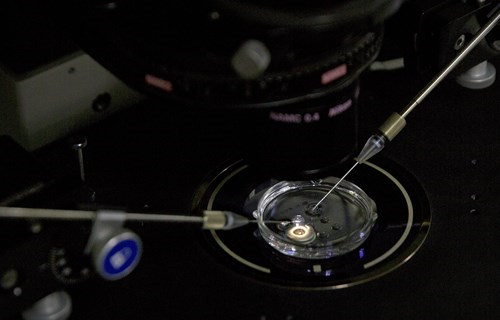 百名科学家联名反对、强烈谴责人体胚胎基因编辑 百名科学家联名反对、强烈谴责人体胚胎基因编辑