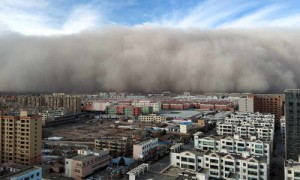 中国致力于防治荒漠化