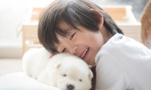 cheek相关阅读