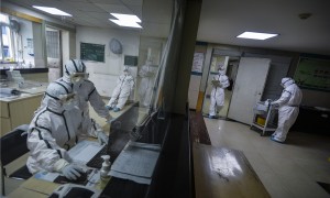 张相关阅读