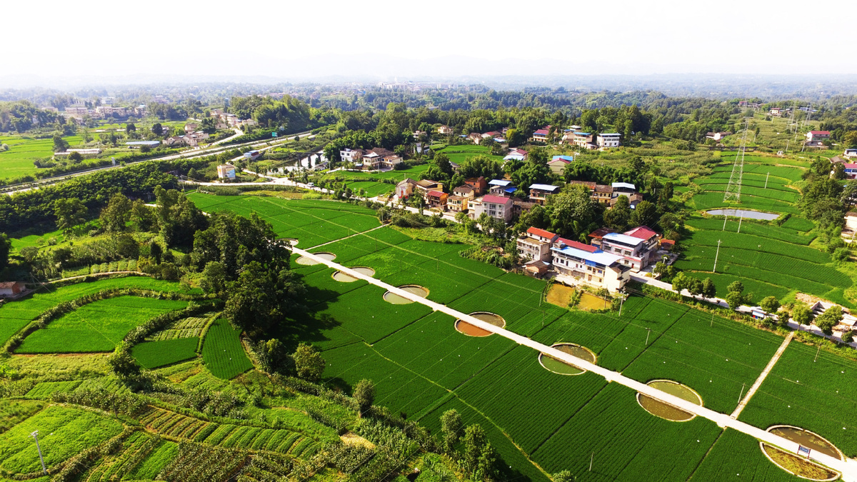 植树节:2019年全国共完成造林706.7万公顷 植树节:2019年全国共完成造林706.7万公顷