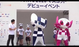 seems相关阅读