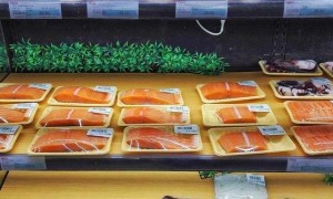 forbidden相关阅读