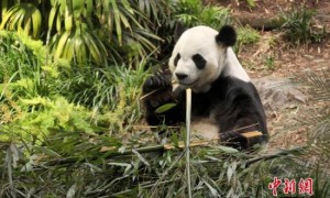 缺相关阅读