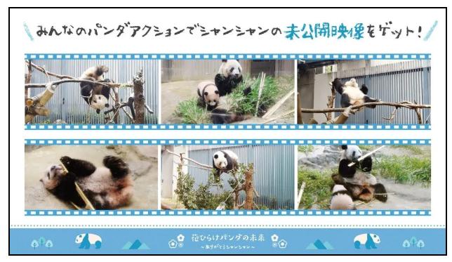 排面儿!日本送别大熊猫“香香”,海报纪念章都安排上了…… 排面儿!日本送别大熊猫“香香”,海报纪念章都安排上了……