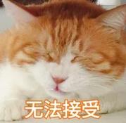 排面儿!日本送别大熊猫“香香”,海报纪念章都安排上了…… 排面儿!日本送别大熊猫“香香”,海报纪念章都安排上了……