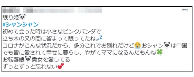 排面儿!日本送别大熊猫“香香”,海报纪念章都安排上了…… 排面儿!日本送别大熊猫“香香”,海报纪念章都安排上了……