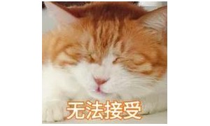 排面儿！日本送别大熊猫&ldquo;香香&rdquo;，海报纪念章都安排上了&hellip;&hellip;