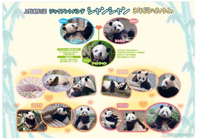 排面儿!日本送别大熊猫“香香”,海报纪念章都安排上了…… 排面儿!日本送别大熊猫“香香”,海报纪念章都安排上了……