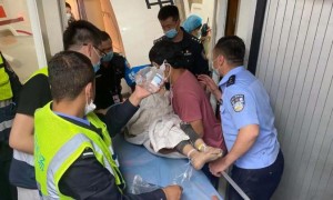 回来相关阅读