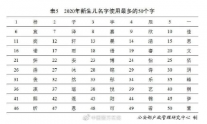 2020年最受父母们欢迎的新生儿姓名竟是&hellip;&hellip;