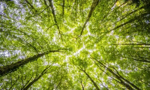 夏天走路太晒？西班牙这个地图APP可开启&ldquo;清凉&rdquo;模式
