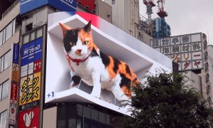 realistic相关阅读