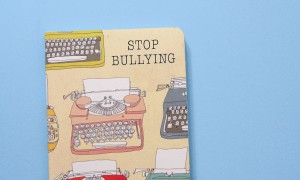 bully相关阅读