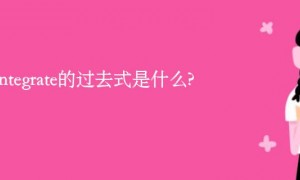 dint相关阅读