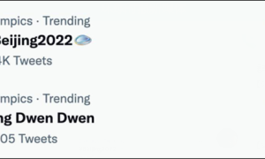 &ldquo;Bing Dwen Dwen&rdquo;登推特热搜