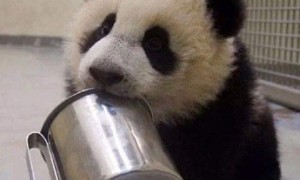 hunger相关阅读