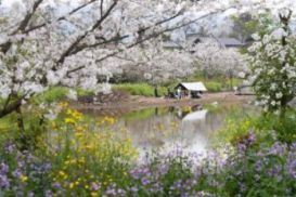 camping相关阅读