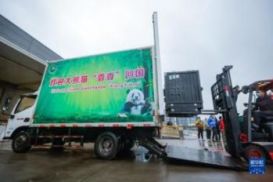 大熊猫&ldquo;香香&rdquo;回家！外交部：欢迎广大日本民众来中国看望