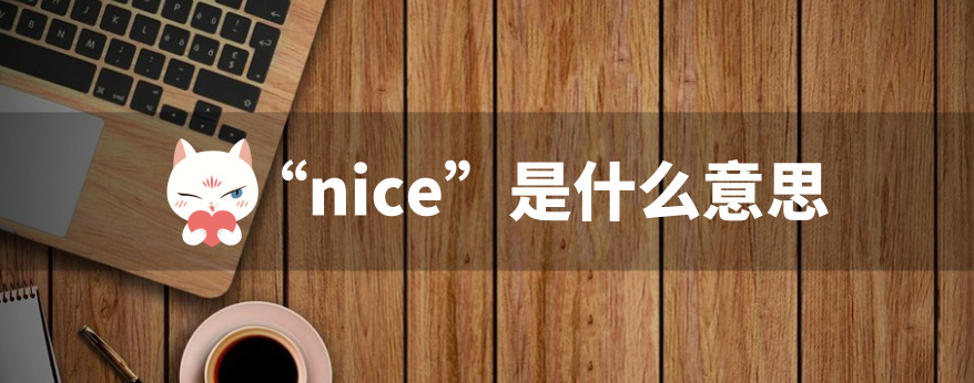 英语单词nice是什么中文意思?