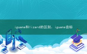 iguana和lizard的区别，iguana音标