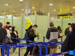文旅部：恢复出境团队旅游及相关业务