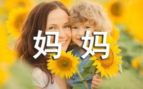 role model相关阅读