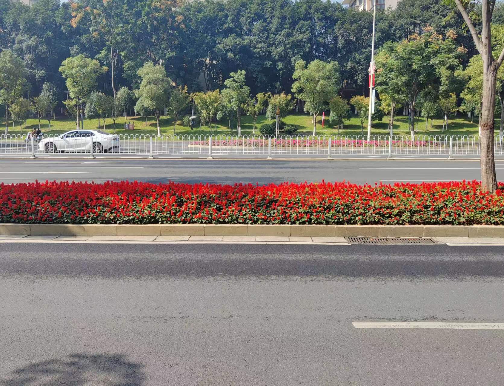 高中英语作文万能开头句和结尾句必背