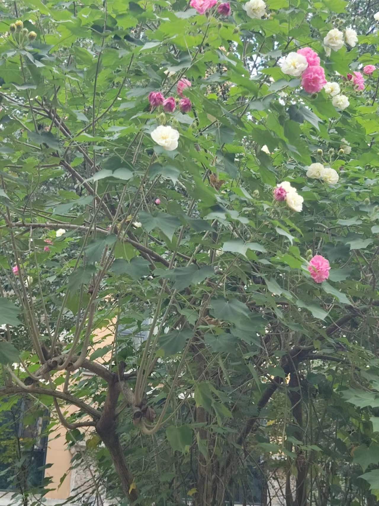 at school相关阅读