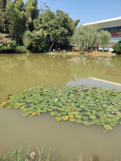 conservation相关阅读
