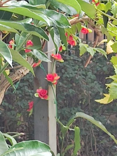 分钟英文缩写是min还是mins？秒钟英文缩写是什么？