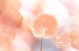 fuzz相关阅读