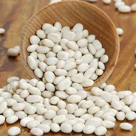 navy bean