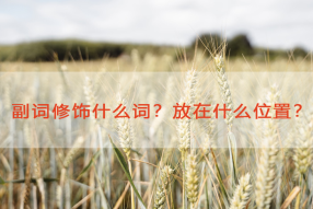 副词修饰什么词？放在什么位置？