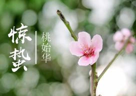 sects相关阅读