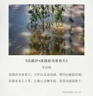 festival相关阅读