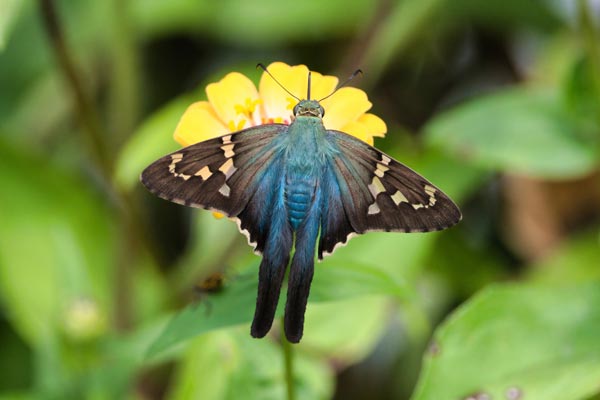 高考英语完形填空真题25（含答案解析）