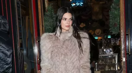 超模肯豆Kendall Jenner豪宅再遭&ldquo;不速之客&rdquo;，竟是因为一场网络骗局？